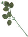 Plastic Rose Stems - 16 in.